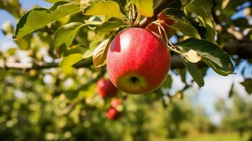 äpple hängande på en träd. generativ ai foto