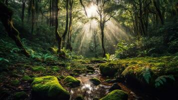 generativ ai, skog undrar fokus på de eterisk skönhet av skogar foto