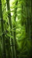 de grön bambu skog. en plats av fred och lugn. ai generativ foto