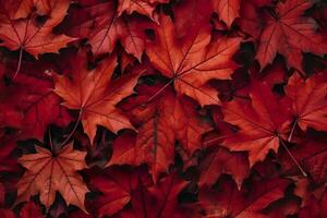 vin röd höst löv textur, falla natur bakgrund, ai generativ foto