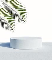 vit podium och tropiska palmblad med havsbakgrund. 3d-rendering foto