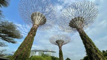 singapore september 24 2023 trädgård förbi de bukt och se av skyskrapor ser marina bukt se av företag distrikt foto