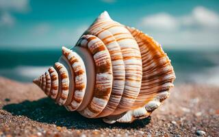 snäckskal hemligheter avtäckt, en fascinerande utforskning av de invecklad texturer hittades på de strand. ai genererad foto