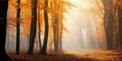 ai genererad. ai generativ. höst skog utomhus- natur orange gul parkera falla landskap bakgrund. grafisk konst foto