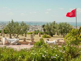 tunis stad i tunisien foto