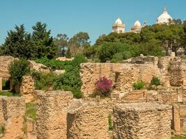 tunis stad i tunisien foto