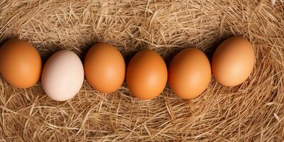 ai genererad. ai generativ. eco organisk kyckling höna ägg mall bakgrund falsk upp. grafisk konst foto