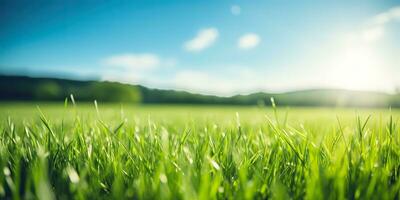 ai genererad. ai generativ. grön färsk gräs fält äng med blå himmel horisont bakgrund. falsk upp inspirera vild utomhus- natur. grafisk konst foto