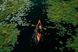 en fåglar öga se fångar en kayaker på en lotus fylld sjö ai genererad foto