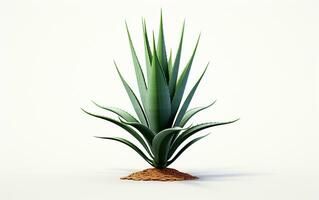 agave växt på en vit bakgrund minimalistisk botanisk elegans. generativ förbi ai foto