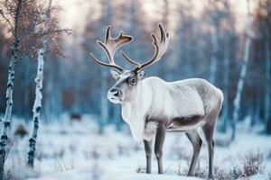 ren stående i de snö vinter- bakgrund.generativ ai. foto