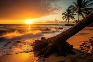 soluppgång hawaii med kokos träd.generativ ai. foto