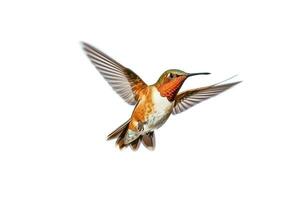 kolibri isolerat på vit bakgrund.generativ ai. foto