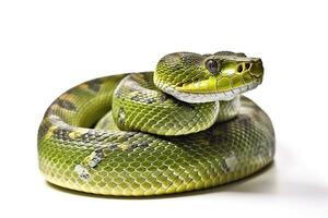grön orm isolerat på vit bakgrund.generativ ai. foto