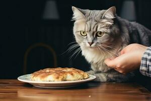 mormor med henne katter foto