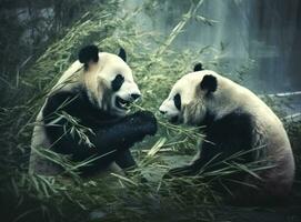 söt panda på naturlig bakgrund foto