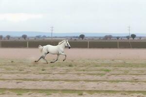 ung brun häst galopperande, Hoppar på de fält på en neutral bakgrund. neuralt nätverk ai genererad foto
