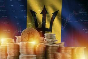 barbados flagga och stor belopp av gyllene bitcoin mynt och handel plattform Diagram. crypto valuta foto