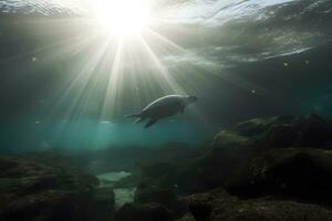 Foto av hav sköldpadda i de galapagos ö. neuralt nätverk ai genererad