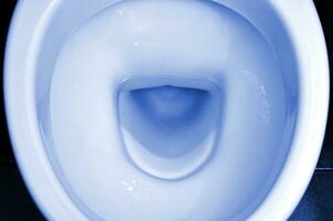 en fotografera av en vit keramisk toalett skål i de klä på sig rum eller badrum. keramisk sanitär gods för korrektion av behöver. Spöke klassisk blå Färg foto