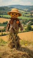 scarecrow bevakning de fält i de landsbygden. foto