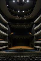 elegant stor konsert hall för musik prestanda foto