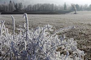 härlig saga snöig vinterbygd med blå himmel i centrala Böhmen, Tjeckien foto