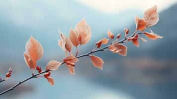 en gren med löv och vatten i de bakgrund generativ ai foto