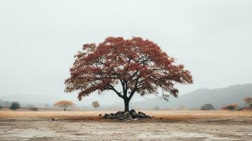 en ensam träd i de mitten av ett tömma fält generativ ai foto