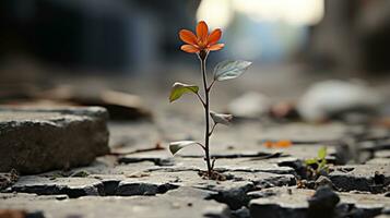 en små orange blomma växande ut av en spricka i de jord generativ ai foto
