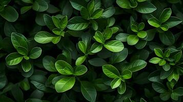 utforska grön blad strukturer - närbild vyer, genererad ai Foto
