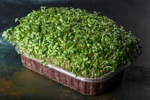 låda med färska groddar av rädisor för att lägga hälsosam mat till rätter