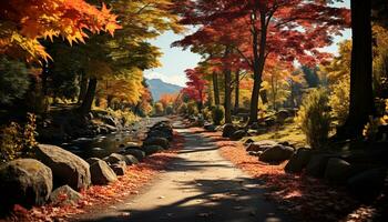 lugn scen höst skog, vibrerande färger, enda körfält väg, japansk lönn genererad förbi ai foto