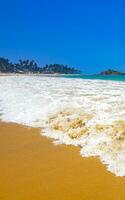 skön paradis tropisk strand vågor palmer mirissa strand sri lanka. foto