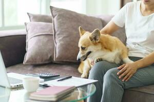 kvinna spelar med henne hund på Hem härlig corgi på soffa i levande rum. foto