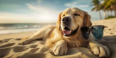 gyllene retriever hund är på sommar semester på havet tillflykt och avkopplande resten på sommar strand av hawaii. ai generativ foto