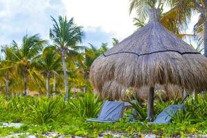 pALAPA halmtak tak palmer parasoller Sol solstolar strand tillflykt Mexiko. foto