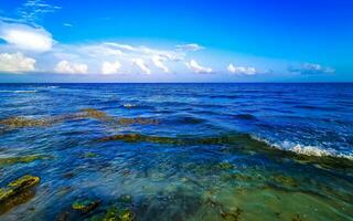 tropisk mexikansk strand klart turkost vatten playa del carmen mexico. foto