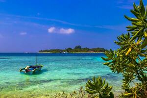 kuramathi maldiverna tropisk paradis ö se från rasdhoo maldiverna. foto