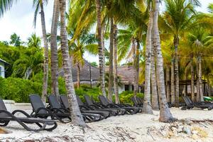 pALAPA halmtak tak palmer parasoller Sol solstolar strand tillflykt Mexiko. foto