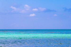 tropisk mexikansk strand klart turkost vatten playa del carmen mexico. foto