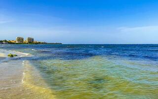 tropisk mexikansk strand klart turkost vatten playa del carmen mexico. foto