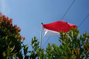 de röd och vit indonesiska flagga är flygande mot en bakgrund av blå himmel och kablar foto