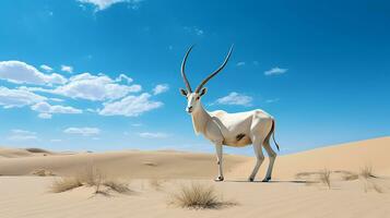 Foto av en arab oryx i en öken- med blå himmel. generativ ai