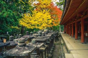 kasuga taisha, en helgedom med tusen lyktor i nara, kansai, japan foto