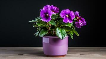 Foto av gloxinia blomma i pott isolerat på vit bakgrund. generativ ai