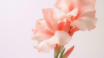 Foto av skön gladiolus blomma isolerat på vit bakgrund. generativ ai