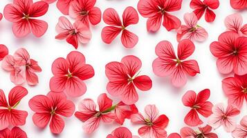geranium blomma mönstrad bakgrund. blomma textur bakgrund. generativ ai foto
