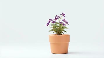 Foto av wallflower i pott isolerat på vit bakgrund. generativ ai