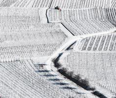 panoramautsikt över drönare över snötäckta vingårdar i Rhindalen foto